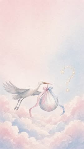 Invitación con fondo animado Cigüeña con dos listones: La cigüeña lleva un bultito con listón rosa y azul.